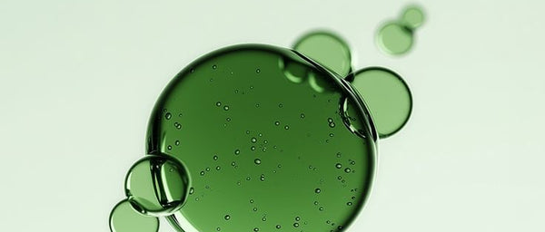 Avocado Oil