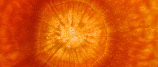 Carotene Active