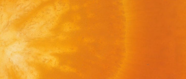 Carrot Root Extract