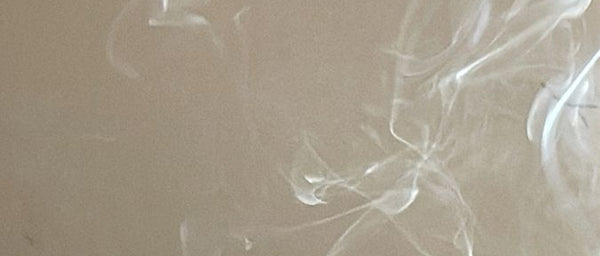Palo Santo Oil