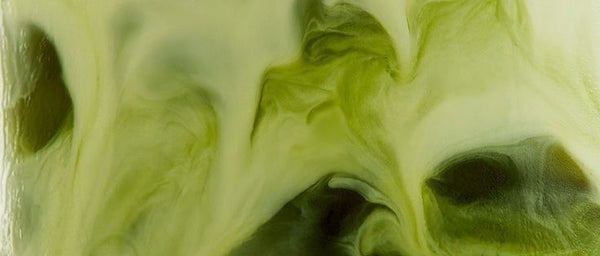 Mentha Piperita Leaf