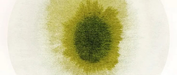 Reverse Centella Extract